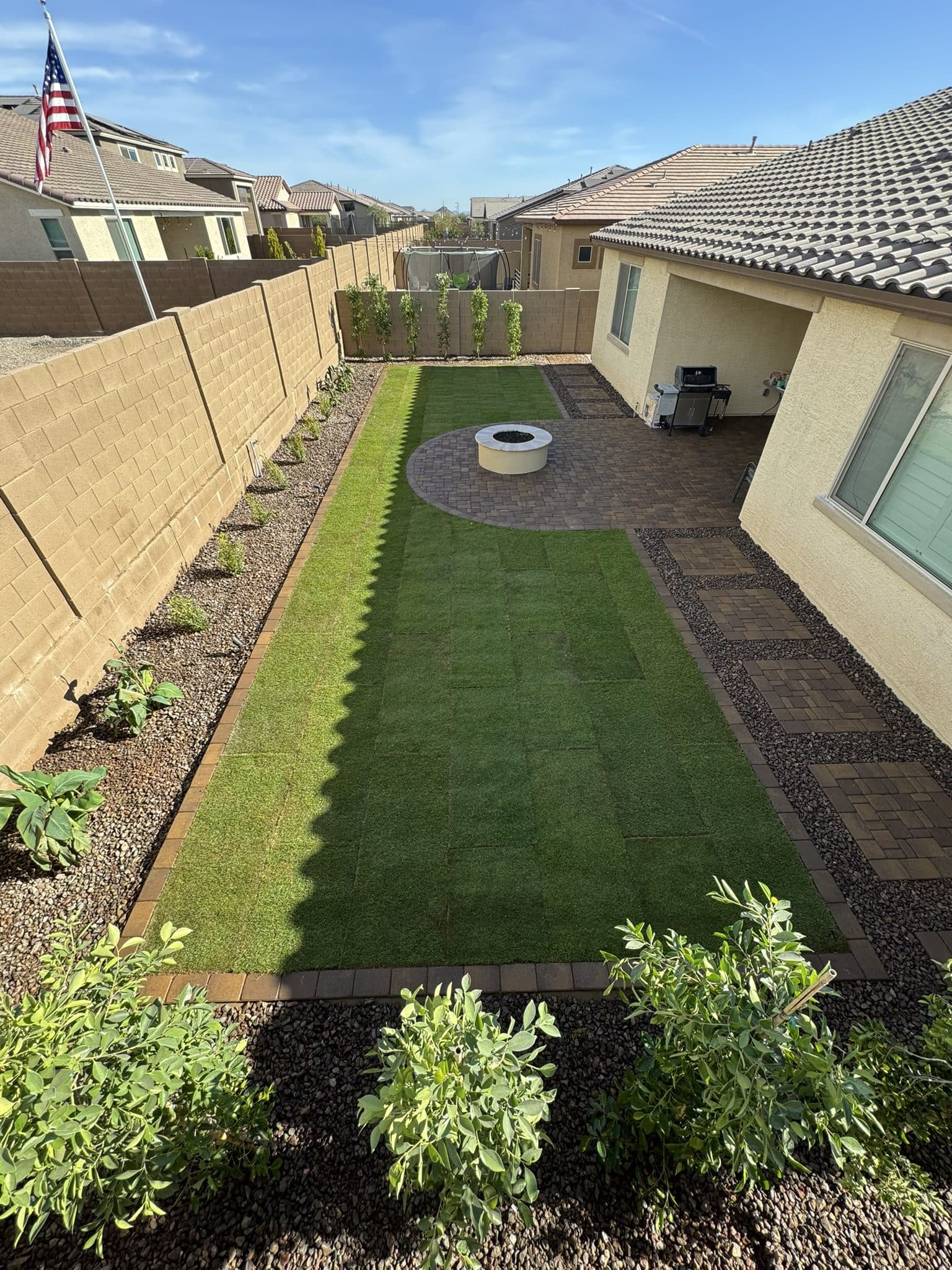 Narrow sod lawn bordered by new plants on drip irrigation
